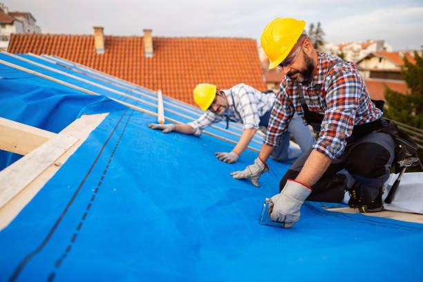 Best Roof Leak Repair  in Fox River Grove, IL