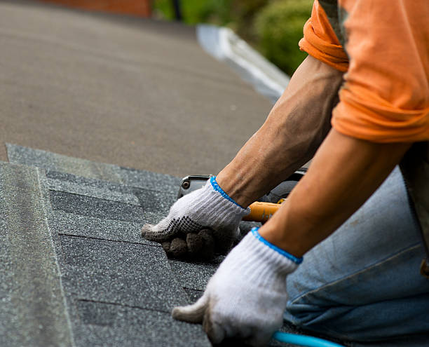 Best New Roof Installation  in Fox River Grove, IL