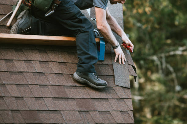 Best Roof Maintenance Services  in Fox River Grove, IL